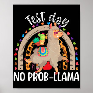 Poster Dia de Teste de Llama maio de 2024 Sem Prob-llama