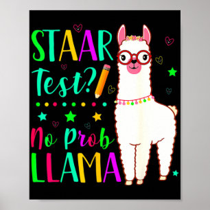 Poster Dia de Teste de Teste de Prob Llama Engraçado