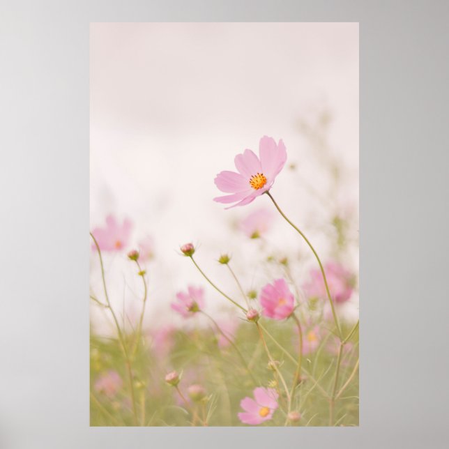 POSTER DIA DE VENDA (Frente)