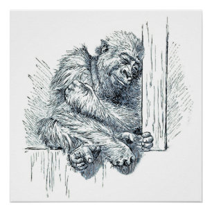Pôster Dia do Descanso - Jovem Ape Gorilla