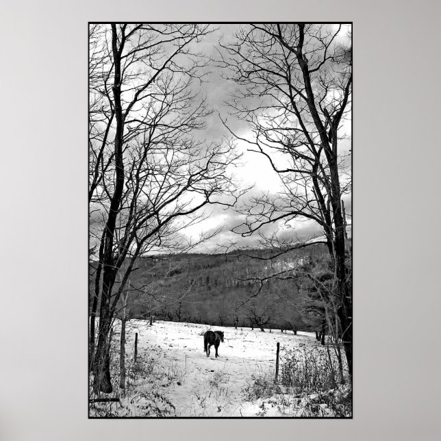 Pôster Dia do inverno (Frente)