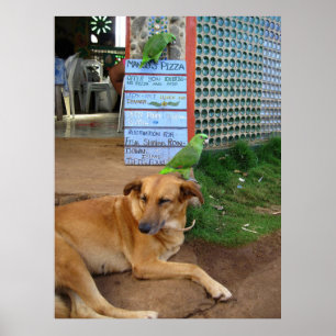 Poster Dia dos Cachorros na Ilha do Pequeno Milho