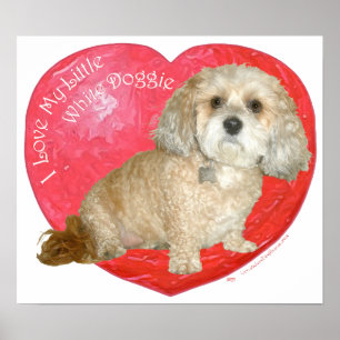 Pôster Dia dos Namorados Shih Tzu / Poodle Mix