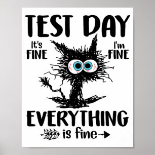 Poster Dia Engraçado Professor de Gato Estressado Estudan