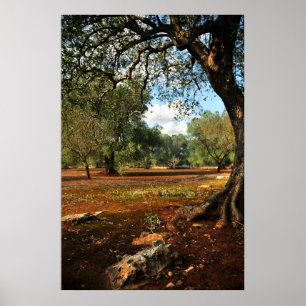 Pôster Dia ensolarado no jardim verde-oliva