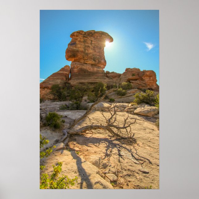 Poster Dia Nacional do Estacionamento (Frente)