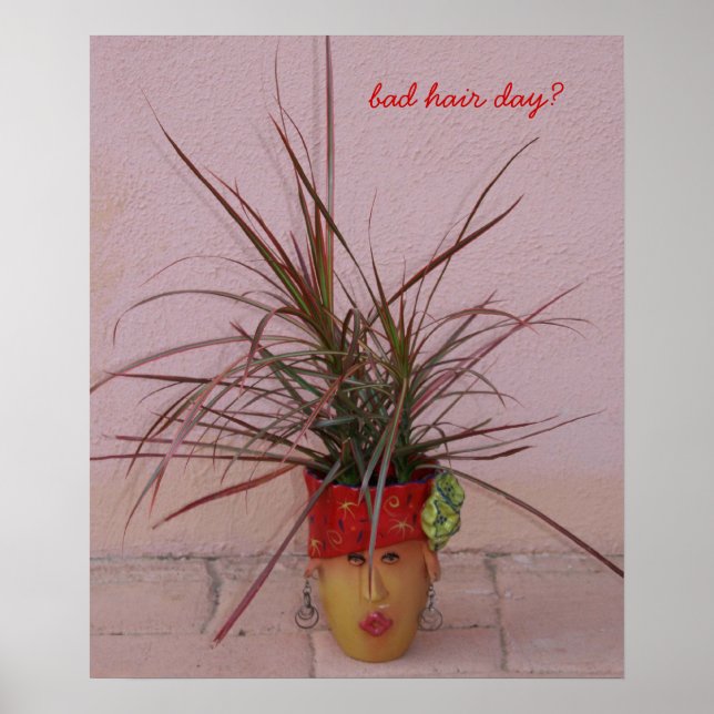 Pôster dia ruim de cabelo? (Frente)