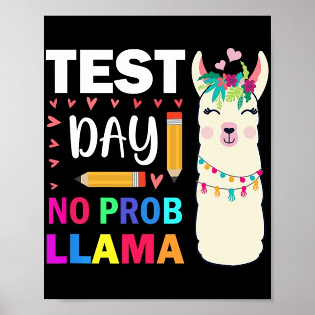 Poster Dia sem Prob-llama Llama Testando o Professor Dia  (Frente)
