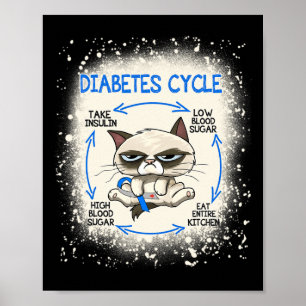Poster Diabetes Ciclo Diabetes Diabetes Difurização Gato