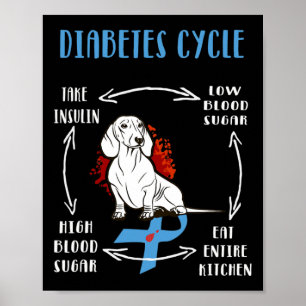 Poster Diabetes Diabéticos Diabetes Awarene