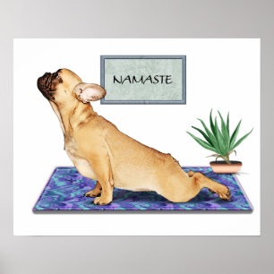 Poster Diabo Francês Fazendo Cachorro Para Cima Yoga Pos