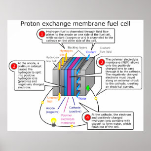 Poster Diagrama da célula combustível da membrana da