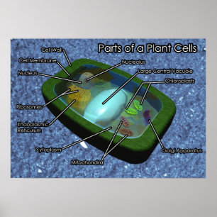 Pôster diagrama da pilha da planta 3D