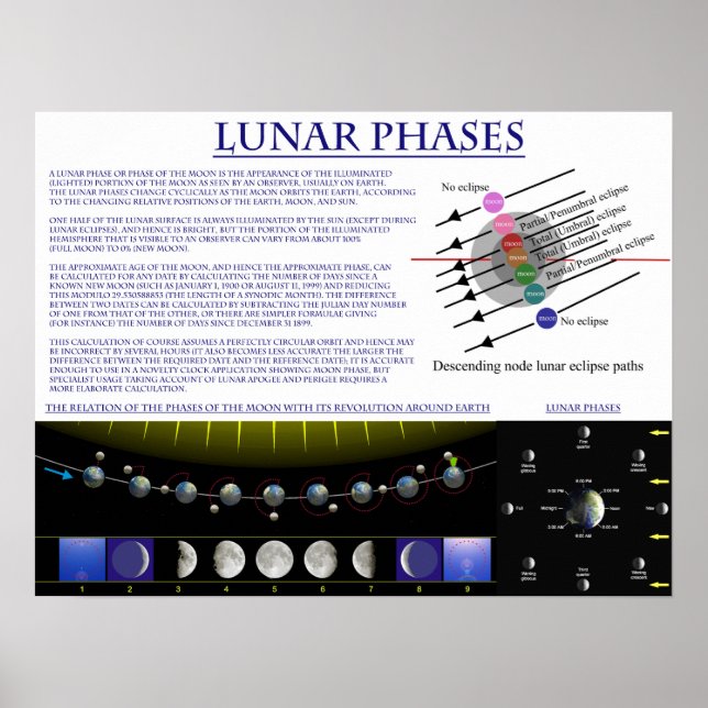 Pôster Diagrama das Fases Lunares da Lua da Terra (Frente)