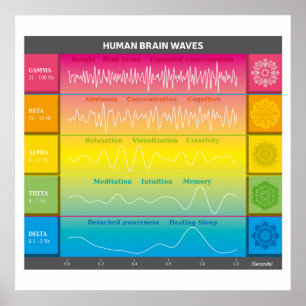 Poster Diagrama das ondas do cérebro humano - Cores do ar