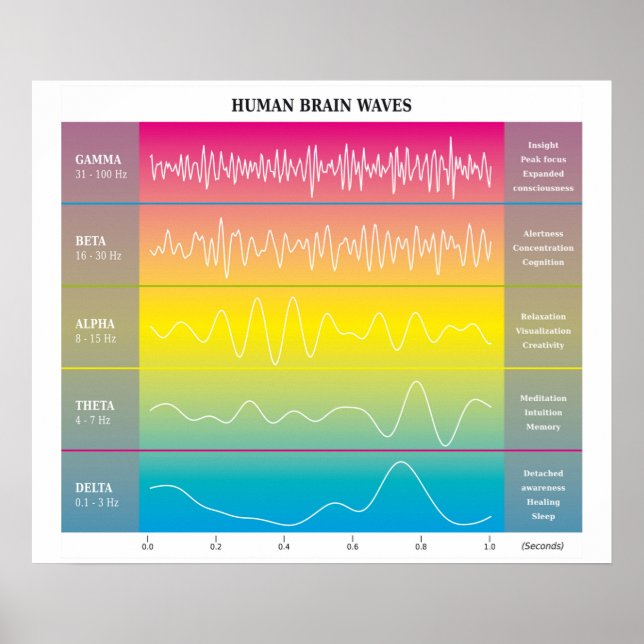 Poster Diagrama das ondas do cérebro humano - Cores do ar (Frente)