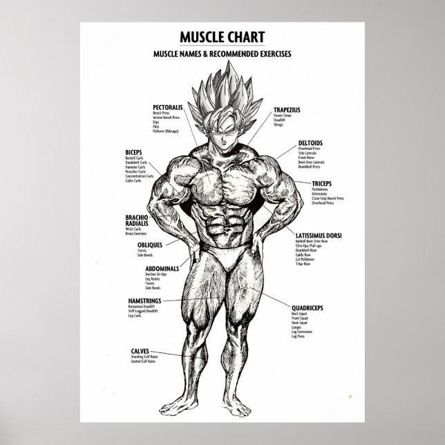 Poster Diagrama de Anatomia de Animes, Gráfico de Músculo (Frente)