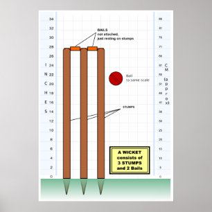 Poster Diagrama de um wicket do jogo do grilo