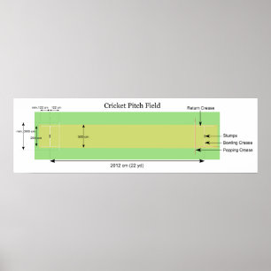 Poster Diagrama de uma distância de críquete com Medições