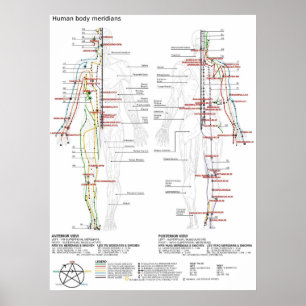 Poster Diagrama Esquemático dos Meridianos Chineses do Co