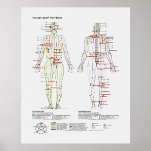 Poster Diagrama esquemático dos meridianos do corpo