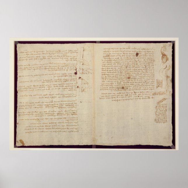 Pôster Diagramas científicos (Frente)