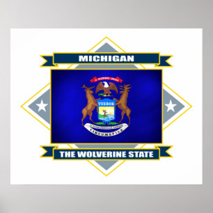 Poster Diamante de Michigan