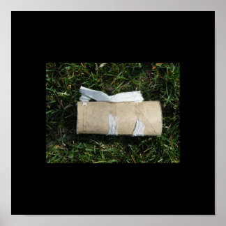 Pôster Diamante no seu banheiro