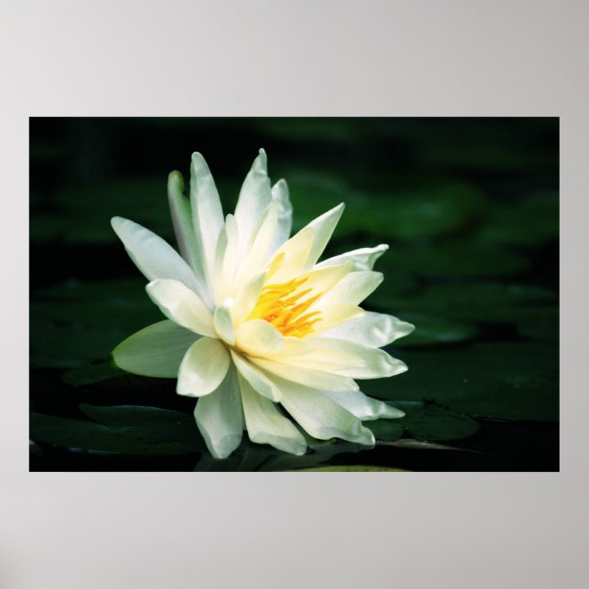 Pôster Diante do Sol (Frente)