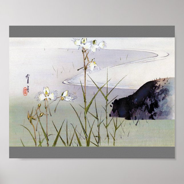 Poster Dianthus em Riverside, Watanabe Seitei (Frente)