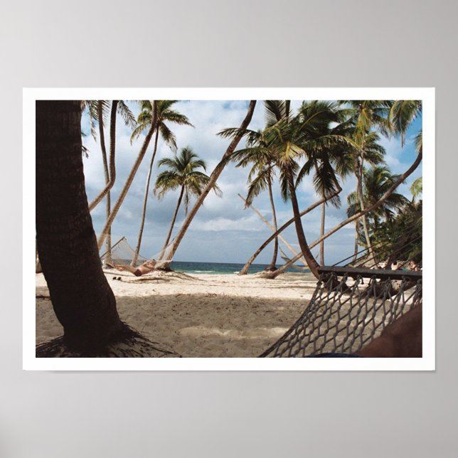 Poster Dias de Árvore de Palma Preguiçosa (Frente)