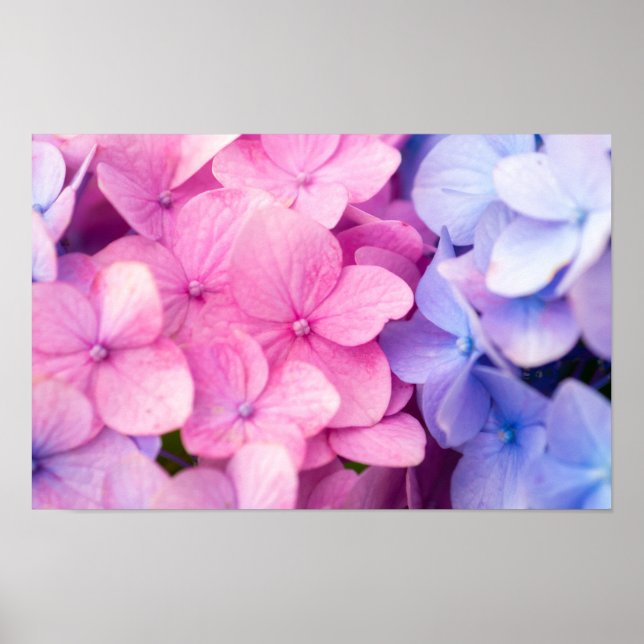 Poster Dias de Chuva (Frente)