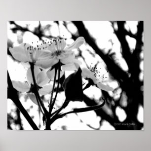 Poster Dias de madeira