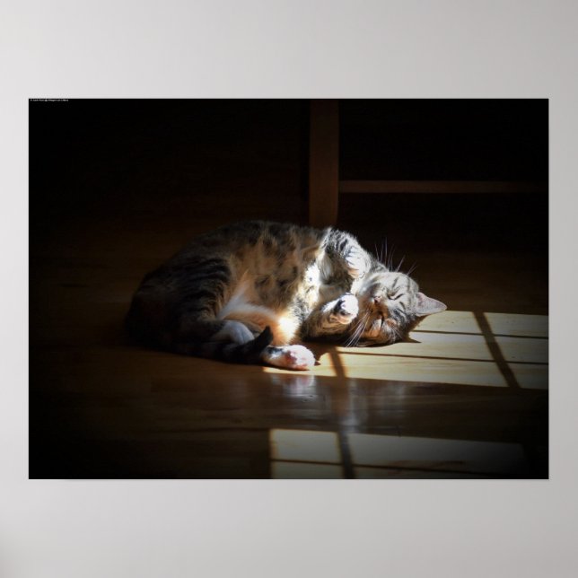 Poster Dias Lentos, (Frente)