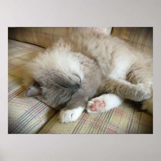 Poster Dias Lentos, (Frente)