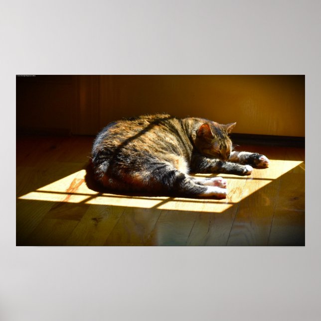 Poster Dias Lentos, (Frente)