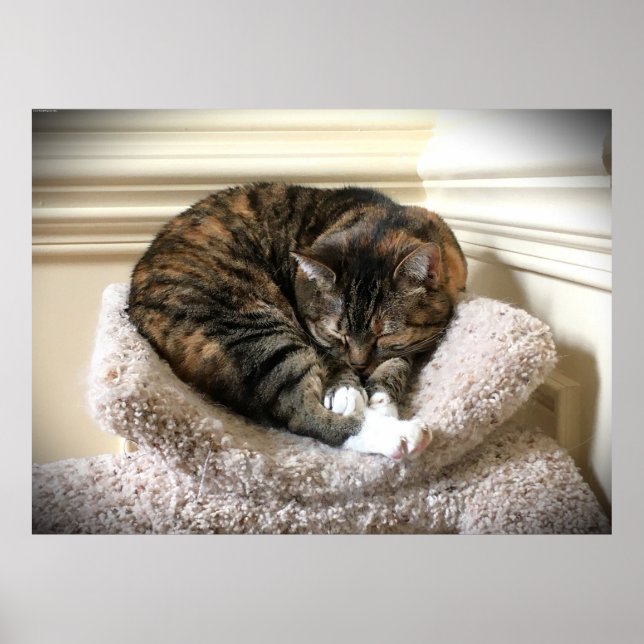 Poster Dias Lentos, (Frente)