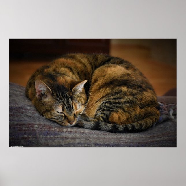 Poster Dias Lentos, (Frente)