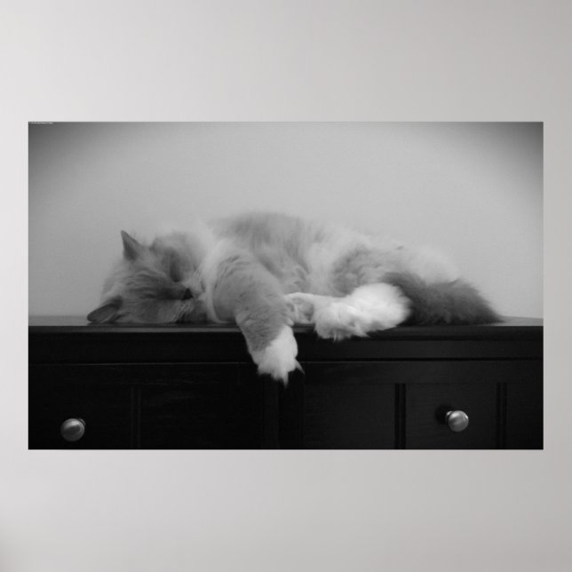 Poster Dias Lentos, (Frente)