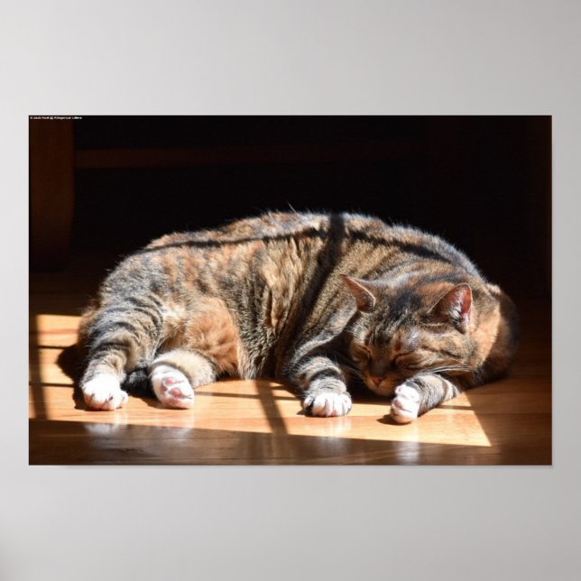 Poster Dias Lentos, (Frente)