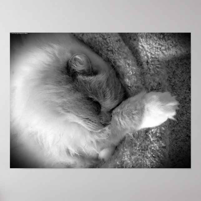 Poster Dias Lentos, (Frente)