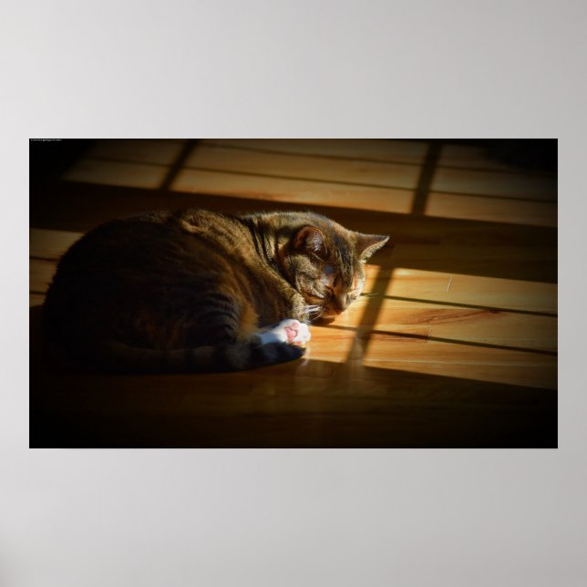 Poster Dias Lentos, (Frente)