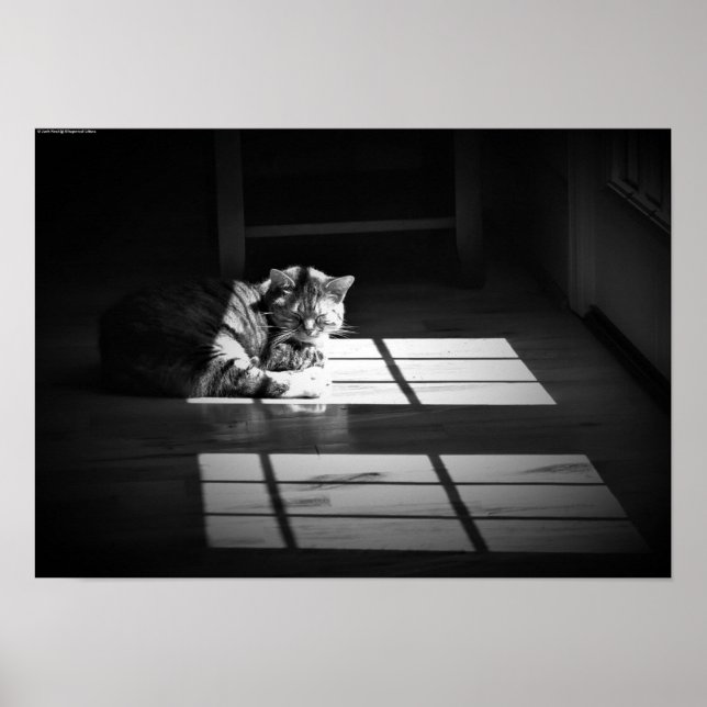 Poster Dias Lentos, (Frente)