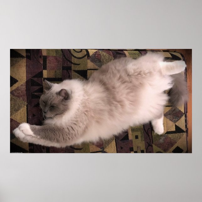 Poster Dias Lentos, (Frente)