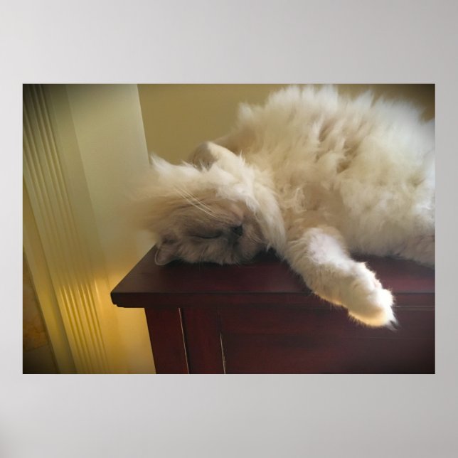 Poster Dias Lentos, (Frente)