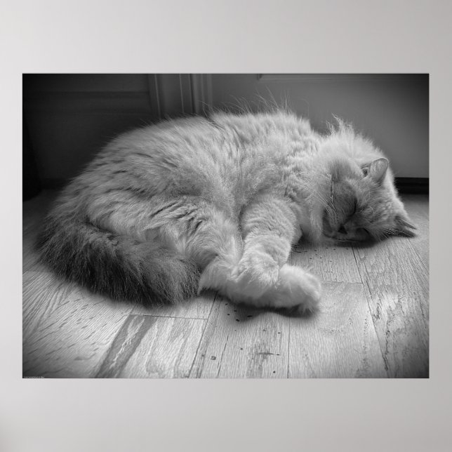 Poster Dias Lentos, (Frente)