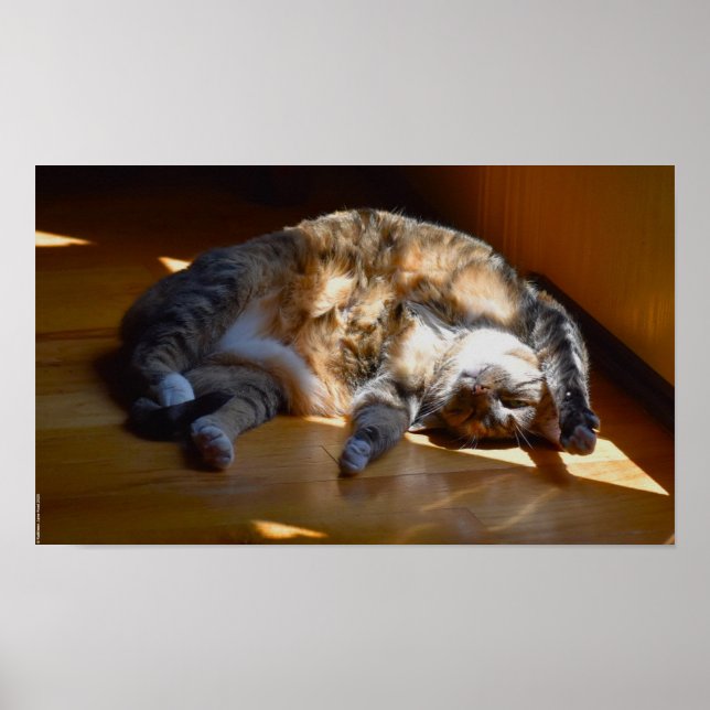 Poster Dias Lentos, (Frente)