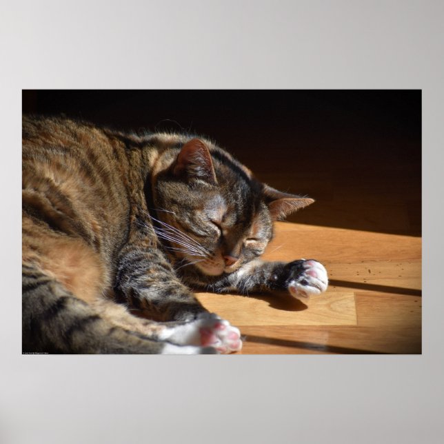 Poster Dias Lentos, (Frente)