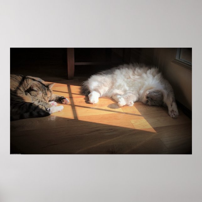 Poster Dias Lentos, (Frente)