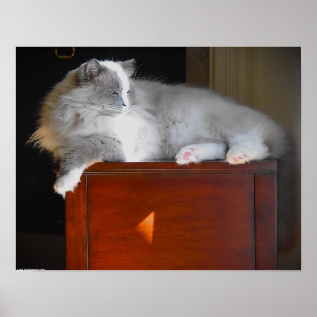 Poster Dias Lentos, (Frente)